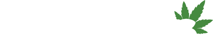LeafyLeaks