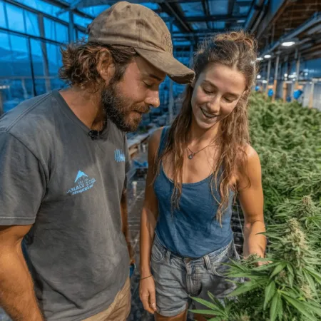 Delta Cannabis Grower Expansion: New Brands Ignite BC Market Shift Curious about Delta cannabis grower expansion? Discover how new Cascadia & Pacifica offerings are shaking up the industry. Don't miss this reveal!