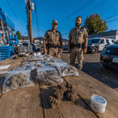 Uncover the details behind a major Newton police drug arrest involving marijuana and methamphetamine. Want to know what happened during the warrant raid?