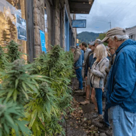 Cannabis Dispensary Location Concerns: Small Towns Speak Out on Community Impact Discover the real cannabis dispensary location concerns Ripley faces. Find out what’s at stake for your neighborhood—don’t miss these crucial insights!