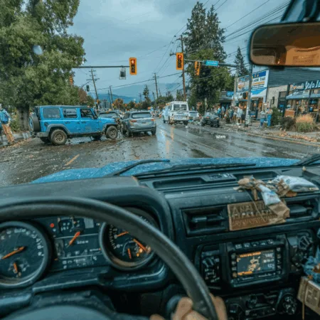 Explore the latest THC fatal crash statistics—discover the real risks, eye-opening facts, and the story behind rising numbers. Click to stay informed now!