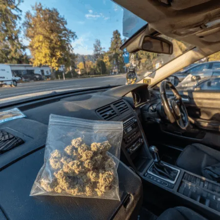 Shocking verdict! Learn how the latest vehicle search marijuana law could change your rights. Curious about police limits? Click for the critical details!