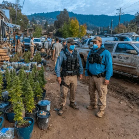 Garvin County Marijuana Raids Spark Questions: What’s Really Behind the Buzz? Garvin County marijuana raids uncovered shocking details—find out how agents seized drugs and took suspects into custody. Want the full story? Click now!