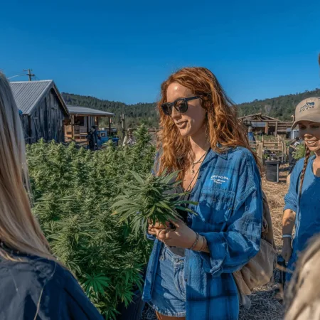 Cannabis Farming Mendocino: Redefining Community & Thankfulness in NorCal Experience the heart of cannabis farming Mendocino! Want gratitude and real stories from the Emerald Triangle? Click for an inside look you can’t miss.