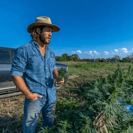 Discover the explosive truth behind the federal THC ban Texas hemp crisis. Is it an extinction-level threat? Click to uncover what’s at stake now.
