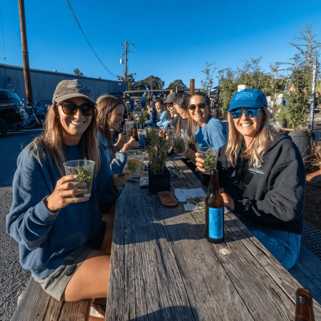 Curious about cannabis beverages alcohol substitution? Discover why more people are swapping booze for cannabis drinks! See how this bold shift impacts you.