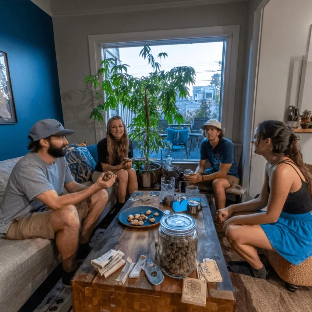 Curious about psilocybin er visits? Discover the real trends and what experts aren’t telling you. Click now for the surprising facts revealed!