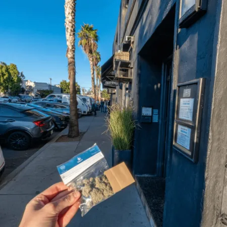 Think you know illegal cannabis dispensaries SoCal? Discover what’s really happening behind closed doors—learn the facts before you visit.