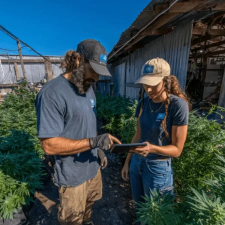 See the future of cannabis cultivation technology! Discover how innovation meets tradition—will you join the growers shaping tomorrow? Don’t miss out.