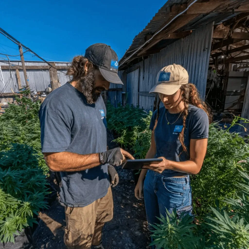 See the future of cannabis cultivation technology! Discover how innovation meets tradition—will you join the growers shaping tomorrow? Don’t miss out.