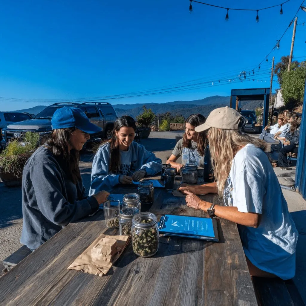 Take the cannabis ethics survey and let your voice help shape global conversations. Dive in to influence the future—your opinion matters more than ever.