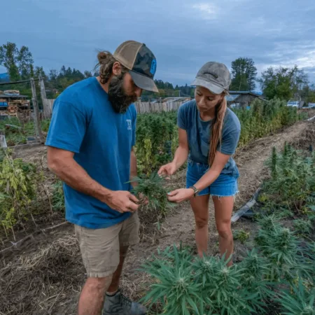 Uncover the real hemp industry challenges threatening its future. What’s fueling the attacks, and how can the legal industry survive? Click to find out.
