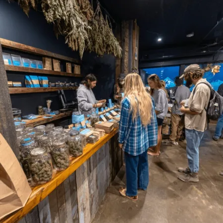 Curious how the Wyoming hemp Delta-8 ban could shake up local vendors? Uncover the real-world impact of this bold legal move and what’s next.