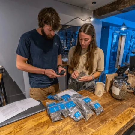 Curious about marijuana genetics seed regulations? Discover the crucial deadline and loopholes all hemp businesses must know—don't let this chance slip by!