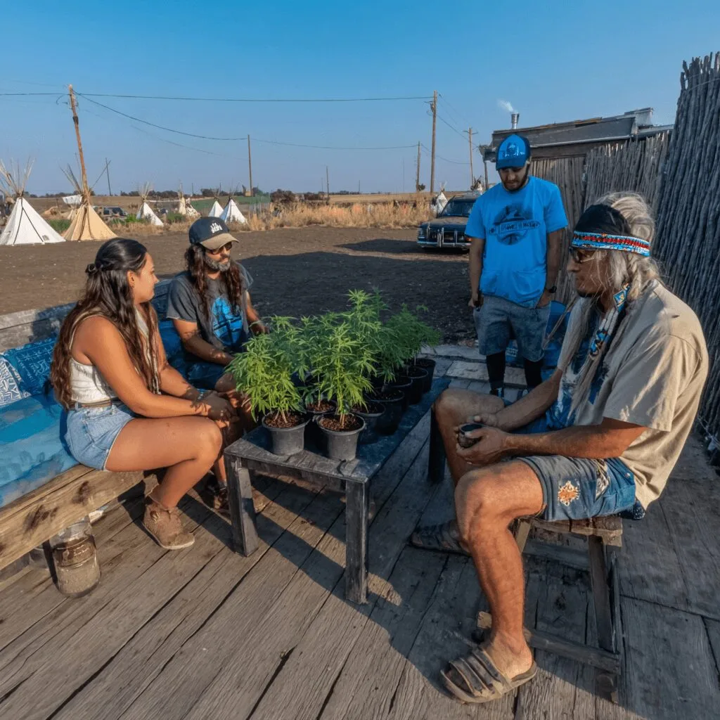 Discover how Omaha tribe cannabis sovereignty is shaking up Nebraska’s cannabis laws. Curious about this bold move? Join the conversation now!