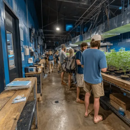 PharmaCann Facility Closure Sends Shockwaves Through Illinois Cannabis Market Breaking: PharmaCann facility closure impacts Illinois cannabis industry. Discover why this matters—see what’s next after the PharmaCann facility closure.