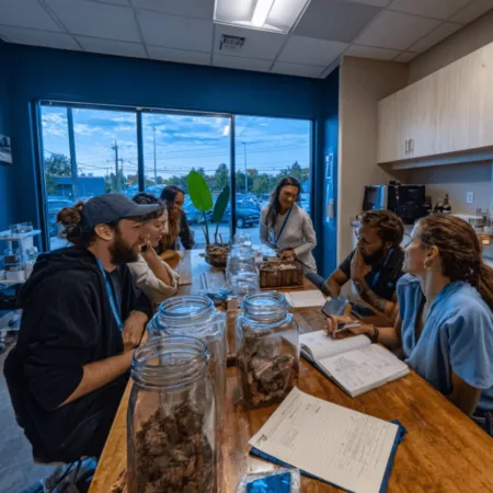 Psilocybin Longevity Research: The New Frontier in Cannabis Wellness Unlock the secrets to a longer life! Discover how psilocybin longevity research is rewriting health science and why you can’t afford to miss this.