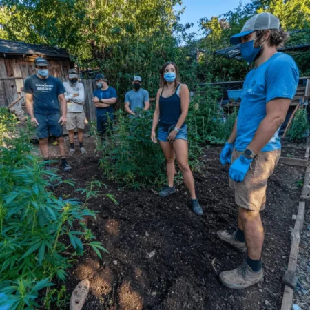 Curious about the future of hemp USA? Uncover what's coming next—huge changes, new opportunities, and secrets you can't afford to miss.