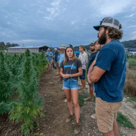 Is your farm at risk? Discover how the Tennessee hemp industry bill could change everything for local growers and processors. Uncover the details now.