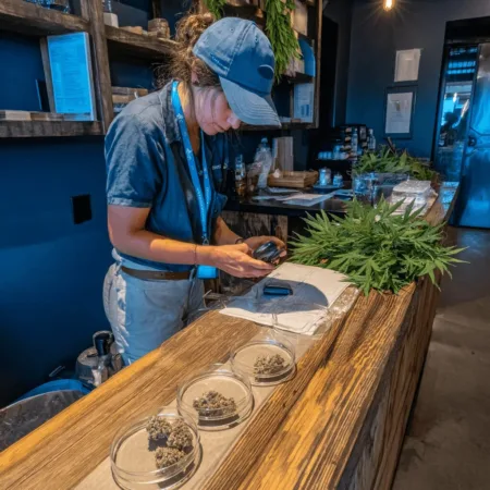 Unlock cleaner, safer products with quantitative microbial cannabis testing. Discover the science behind the process—can your cannabis pass the test?