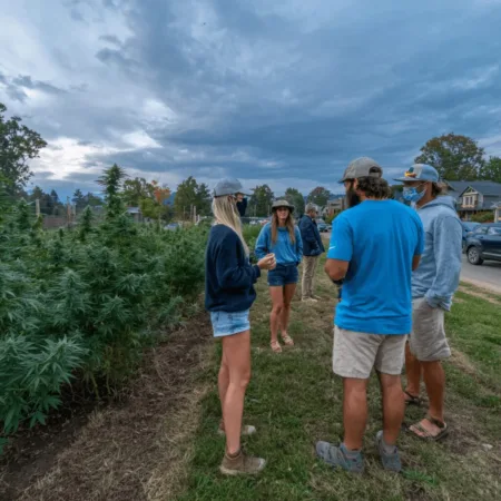 Wisconsin Cannabis Laws: Why Locals Are Talking and What Changes Next Curious about Wisconsin cannabis laws? Discover the truth, hidden challenges, and what lawmakers aren't saying—get the real scoop today!
