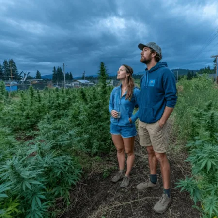 Facing the Storm: Hemp Regulation Uncertainty and the Future of Cannabis Farmers Explore the real impact of hemp regulation uncertainty. Will new federal laws disrupt the industry? Get insights and expert takes on the looming changes.