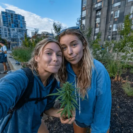 Germany Cannabis Legalization: What the Landmark Shift Means for Daily Life Curious about Germany cannabis legalization? Discover the latest twists, government decisions, and what this move means for you. Click to find out more now!
