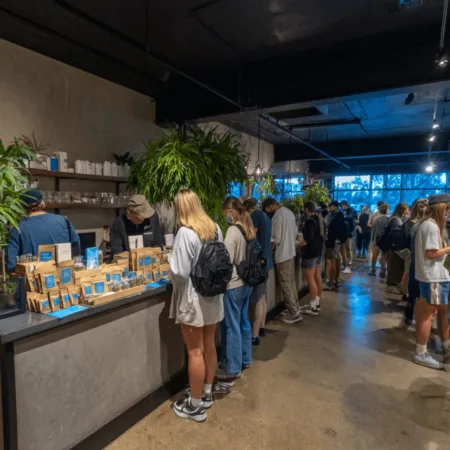 Ready for massive Green Wednesday cannabis sales? See why this MA event is set to break records. Don’t miss the secrets to big savings and trends!