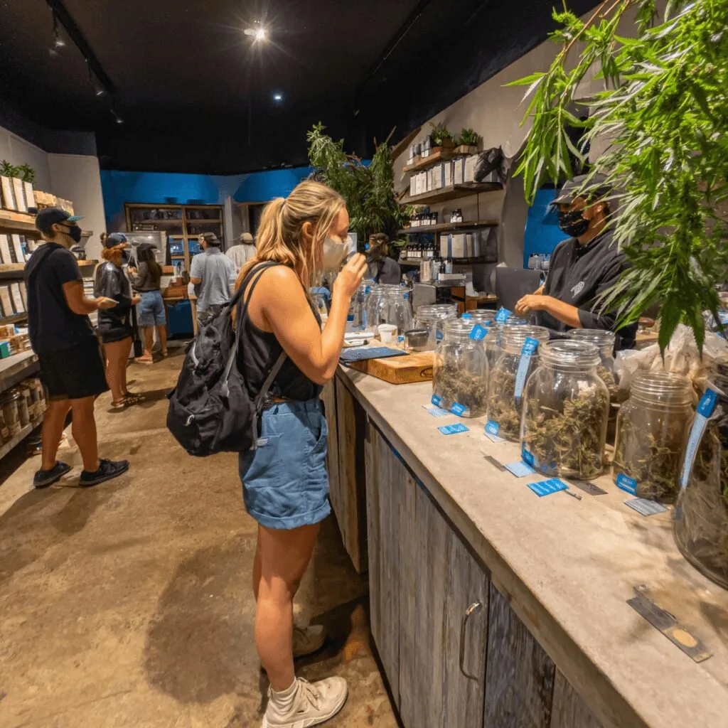 Could cannabis employee asthma ruin your cannabis career? Uncover hidden health risks and what every cannabis worker should know—don’t miss out!