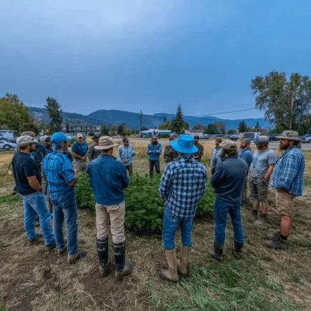 Don’t miss critical insights from the Montana hemp tariffs meeting—see what’s at stake for farmers and the hemp industry. Will new policies change everything?