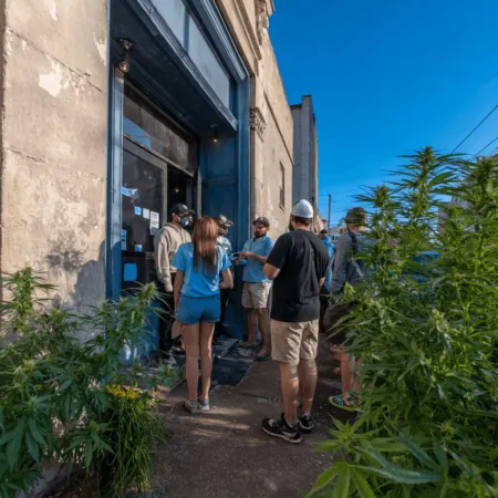 Osseo Municipal Cannabis Dispensary: Small-Town Roots, Bold New Vision Discover Osseo municipal cannabis dispensary updates! See how the city plans to transform the old press building. Ready for a new era in Osseo?
