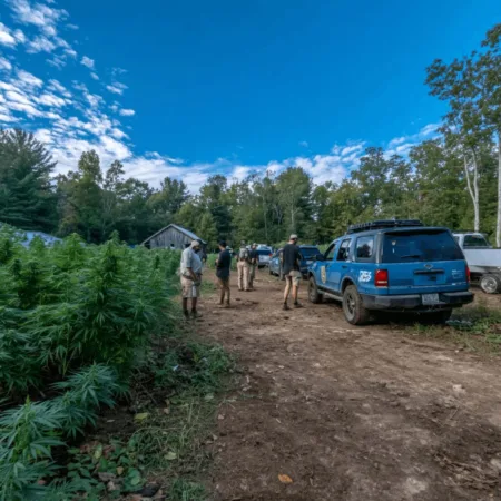 Uncover the real story of the Maine hemp drug raid. Are innocent farmers caught in the crossfire? Explore key details no one else will reveal.
