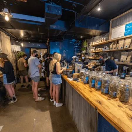 How Federal Hemp Rules Impact the Future of Local THC Drink Bars Curious about the federal hemp rules impact? Discover how these changes could redefine your local THC drink bar—don’t miss what’s at stake!