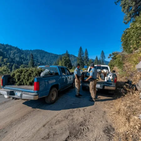 Uncover the full story behind the Siskiyou marijuana traffic stop—massive cannabis seizures, bold police action, and what it means for the region.