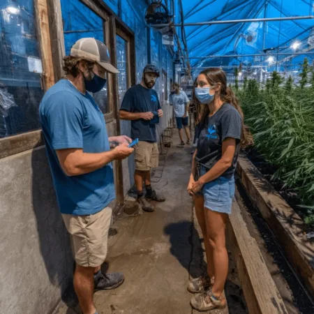 Monterey County Cannabis Market Faces Survival Test—Growers Battle the Odds Discover the real story behind the Monterey County cannabis market. Are local growers surviving the downturn? Get exclusive insights you can't miss!