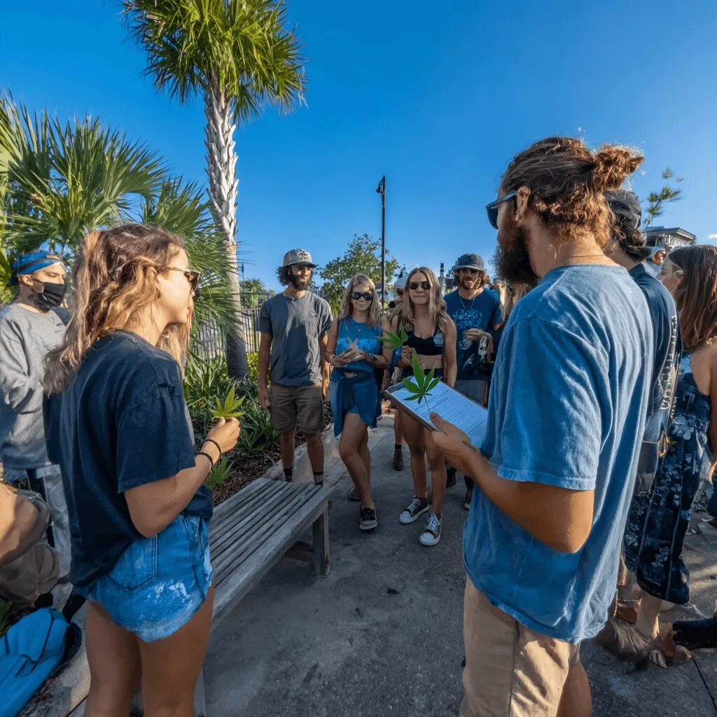 Curious about the Florida recreational marijuana ballot? Find out what’s changing, who’s fighting for it, and why it matters for your future.