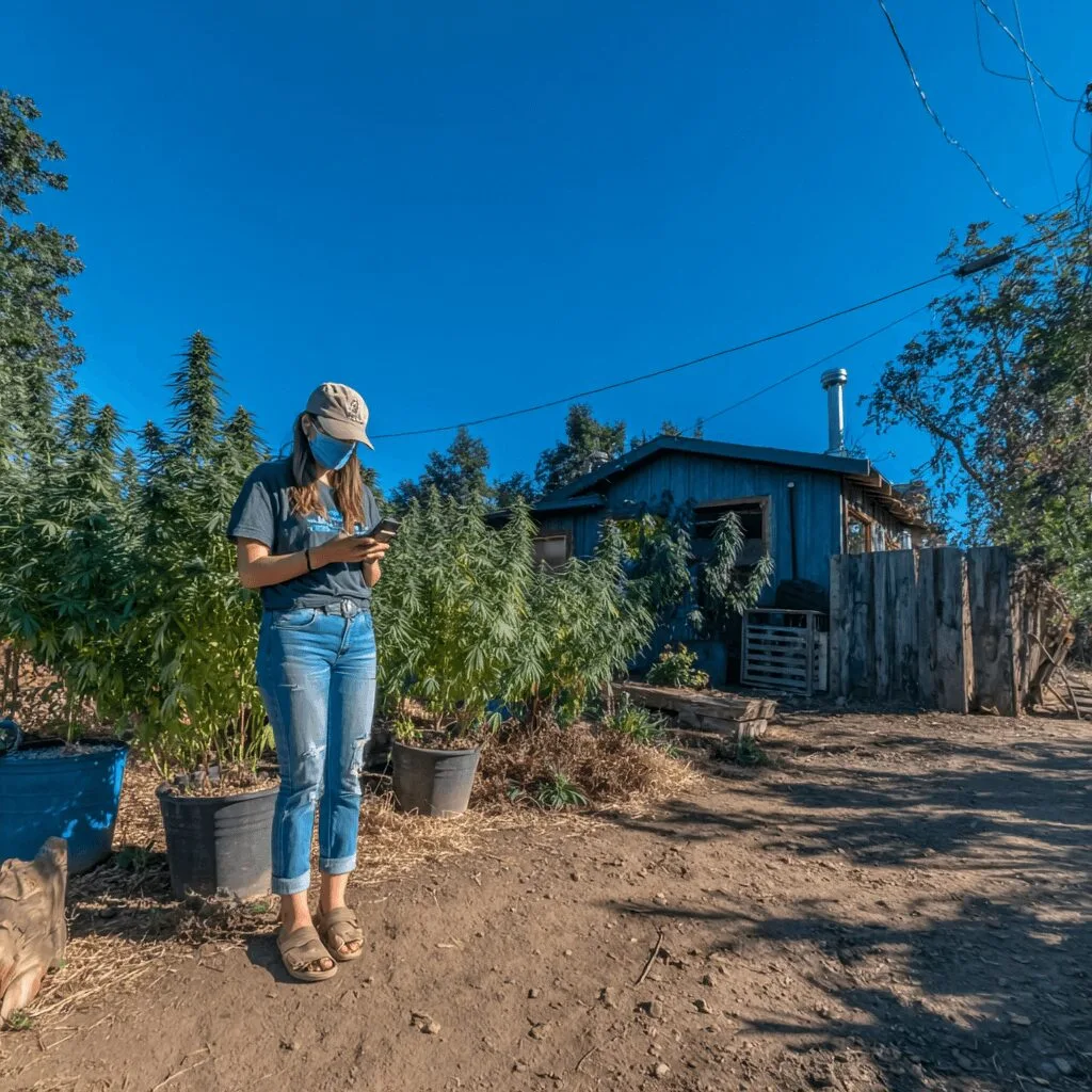 Don’t miss crucial alerts! Get Butte County emergency notifications – your lifeline to real-time updates. Are you truly prepared for the unexpected?