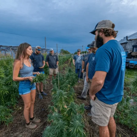 Uncover the truth behind the Farm Bill hemp THC controversy—hidden risks, industry shakeups, and what lawmakers won’t tell you. Don’t miss these insights.