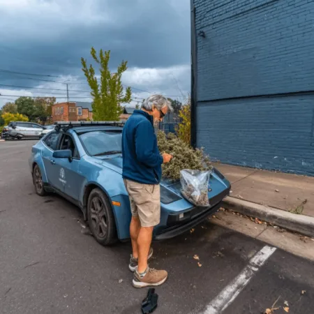 Curious about Missouri cannabis weapon sentencing? Find out what led to a 5-year prison sentence—discover shocking facts and legal insights inside.