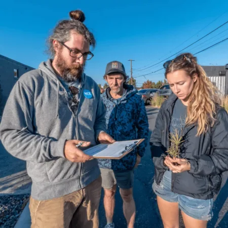 Curious about the Oklahoma recreational marijuana ballot setback? Discover what happened and why this vote matters for the state's cannabis future!