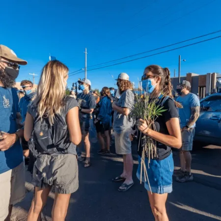 Curious about the Arizona marijuana repeal initiative? Find out what’s at stake and why this fight could shake up the state—controversy guaranteed.