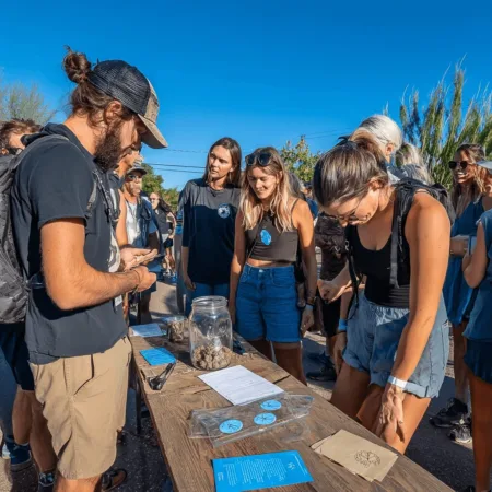 Curious about Arizona marijuana legalization changes? Discover how a new ballot measure could upend everything. Find out what happens next—don't miss this!