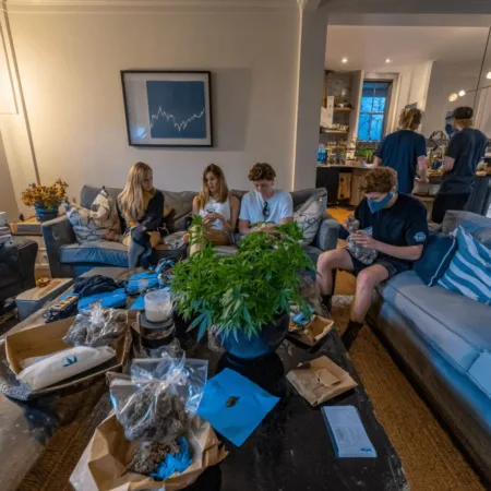 Cannabis Stocks Surge: Young Investors Ride the High of Historic Gains Discover why cannabis stocks surge is making headlines—will reclassification spark bigger gains? Dive into the market frenzy and what it means for investors.