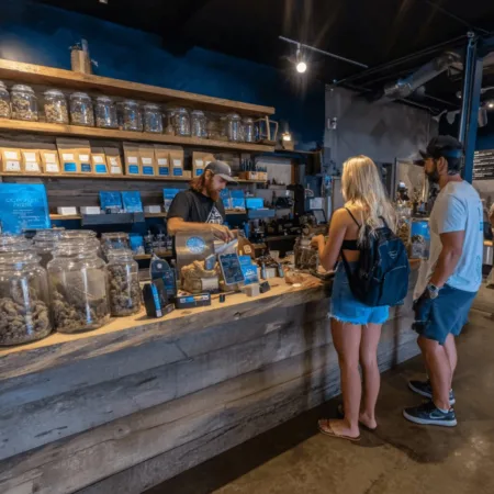 Discover how cannabis market solutions can revolutionize vape shops. Ready to explore bold opportunities or fix industry headaches? Dive in now!