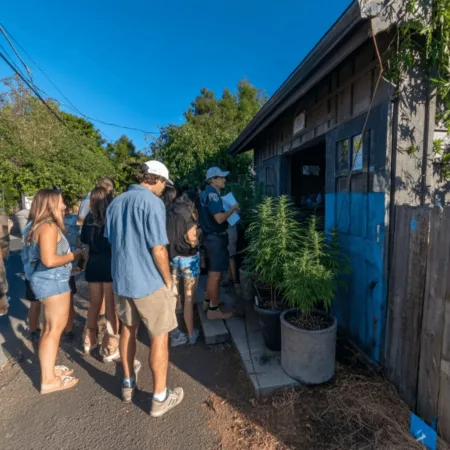 Yolo County Cannabis Permits: Opportunity Knocks—Don’t Miss Out! Dreaming of a cannabis business? Discover how to score Yolo County cannabis permits. Act fast—limited spots and new opportunities await you!