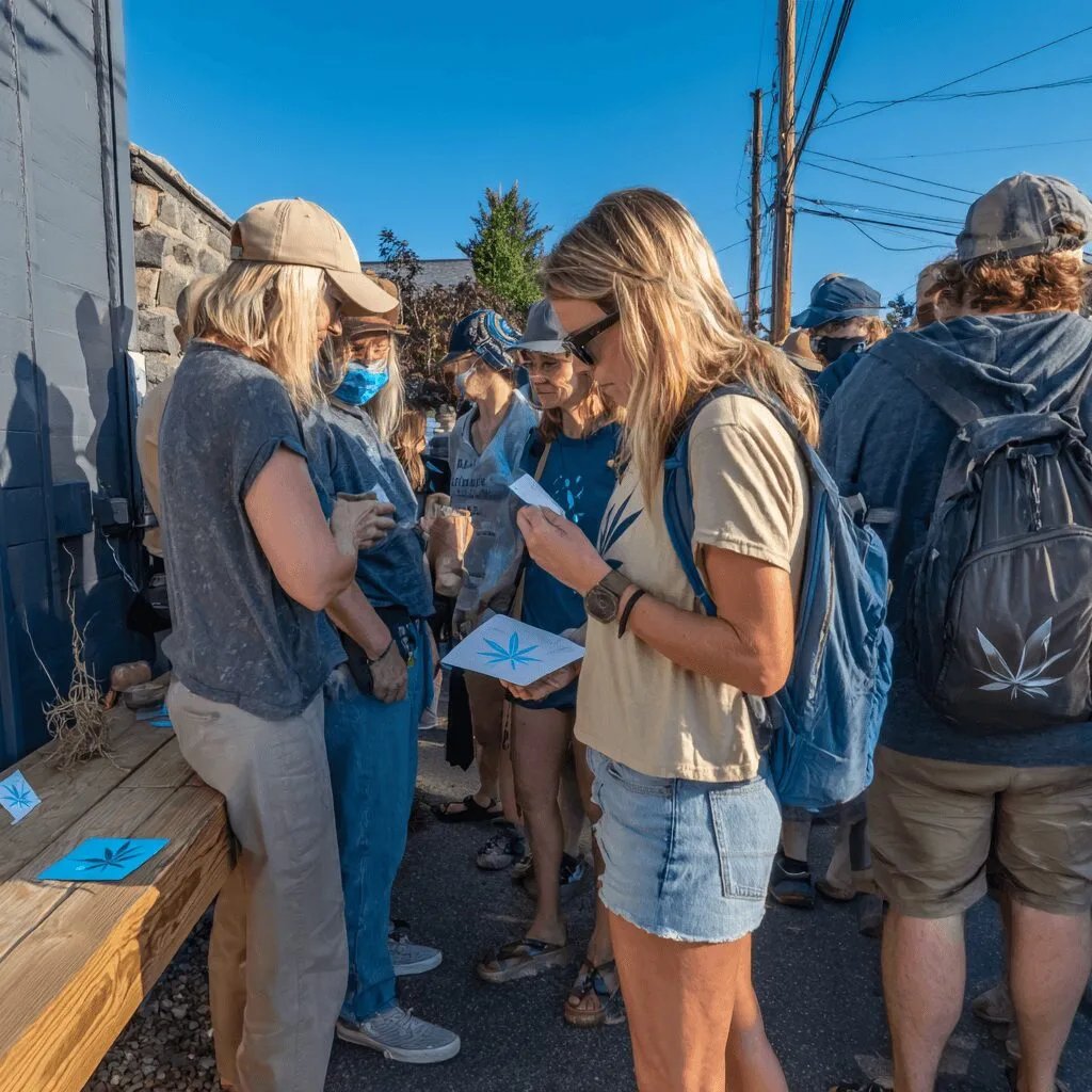 Curious about the Maine cannabis ballot measure? Discover how this could change recreational cannabis laws—find out what’s at stake before everyone else.