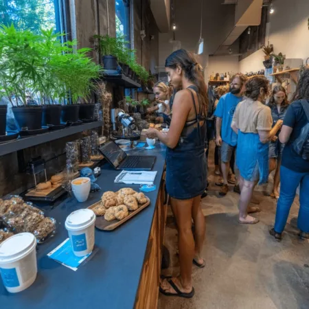Curious about marijuana rescheduling research opportunities? Discover groundbreaking shifts and how you can benefit from the coming research wave.