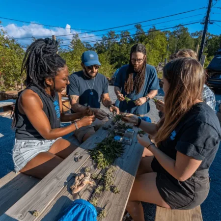 Virginia Cannabis Bill Implications: 5 Game-Changers You Need to Know Now Curious about Virginia cannabis bill implications? Discover the bold changes, regulatory twists, and industry impact—click to see why you can't afford to miss this!