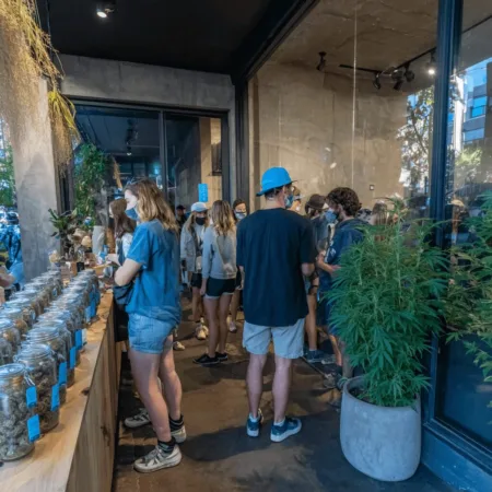 Curious about the High Tide Berlin expansion? Discover how this cannabis giant's Berlin move is shaking up Europe's retail scene—don't miss the inside story!