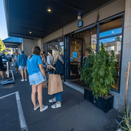 Watertown Marijuana Dispensary Plans Stir Buzz: Community Pulse & Possibilities Curious about the new Watertown marijuana dispensary proposal? Discover what's coming to Eastern Blvd and why locals are buzzing. Explore the full scoop now!